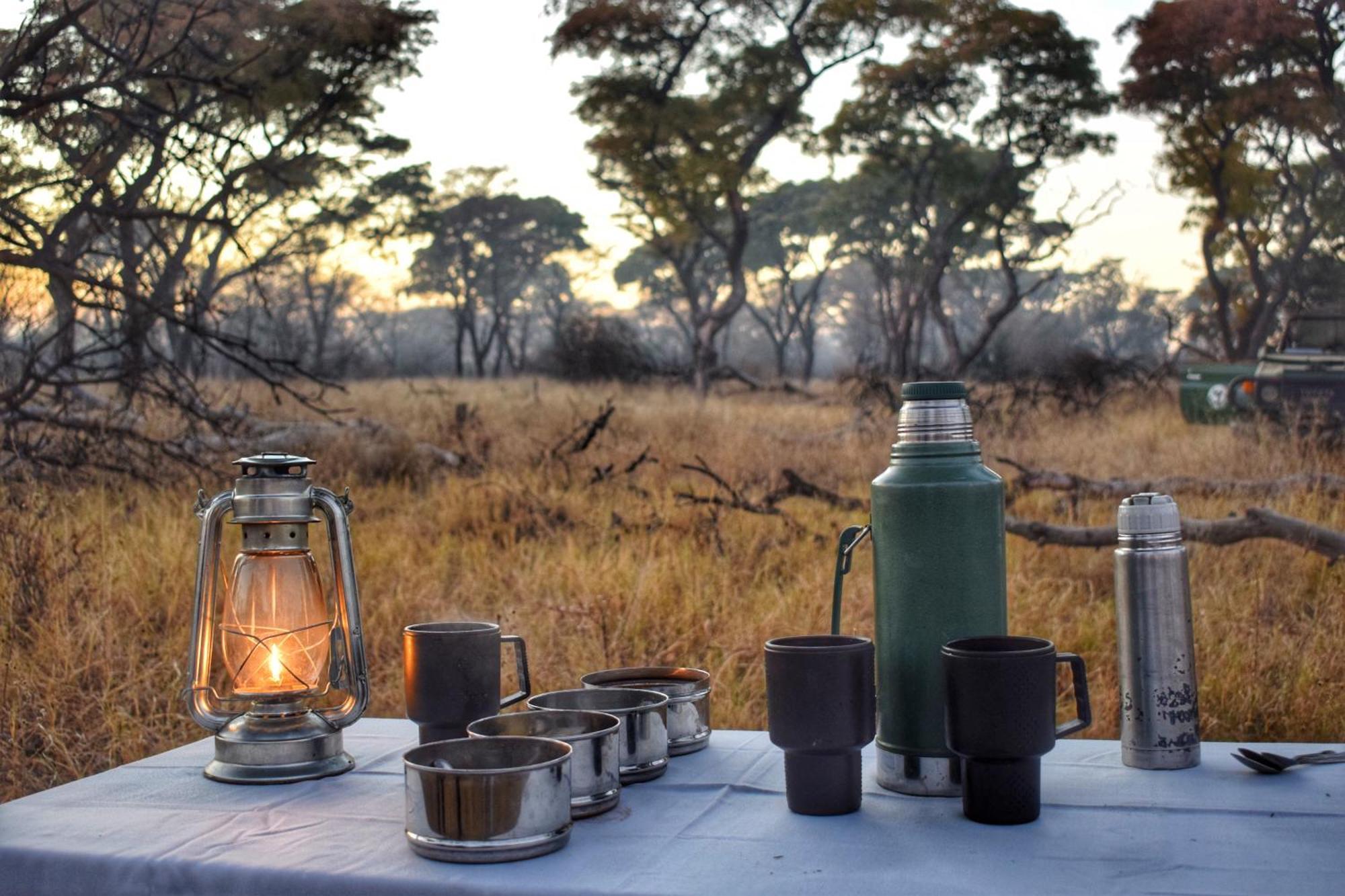 Mziki Safari Lodge Vaaldam Extérieur photo